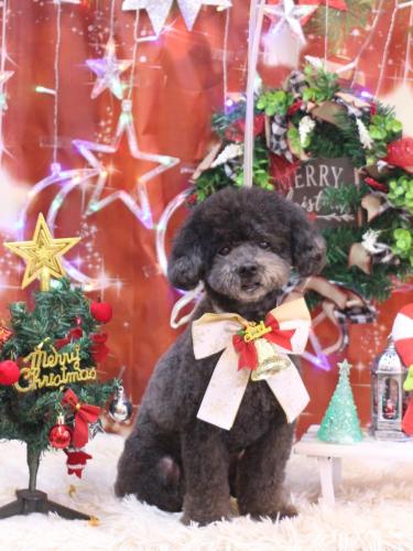 20231228コタロウくん